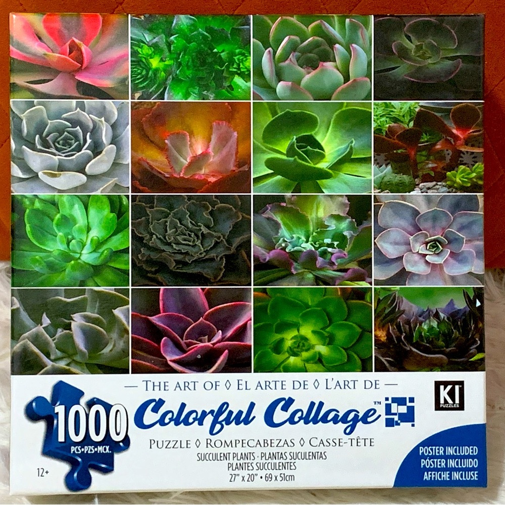 🧩USED 1000 pc puzzle 🧩
